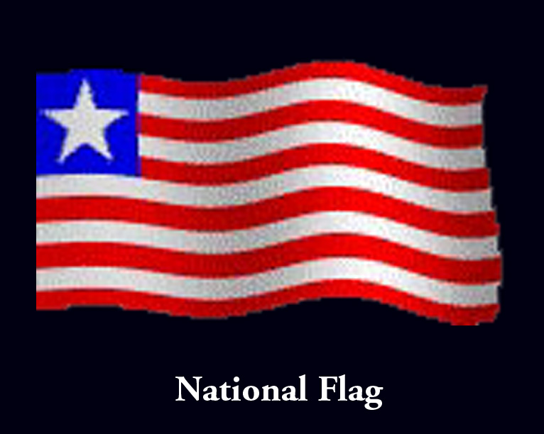 flag red white blue with one star