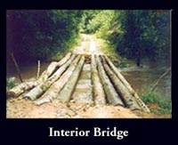 Log Bridge